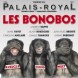 Les bonobos